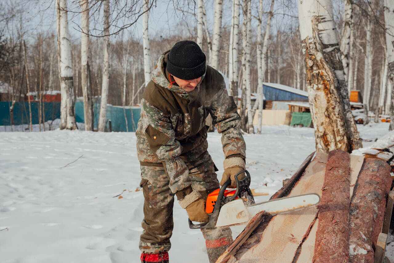 Residential Tree Removal in Rush Springs, OK